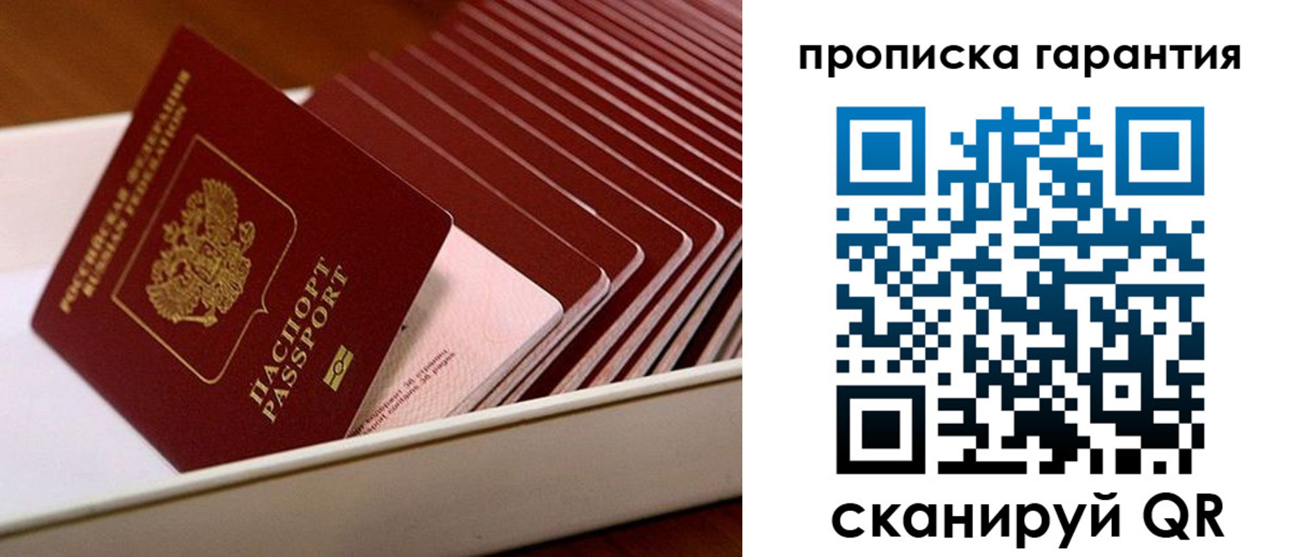 прописка поиск в Дубовке